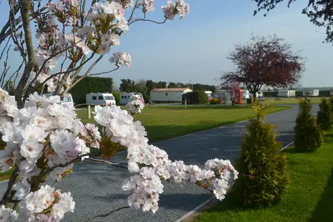 Greenacres Caravan and Touring Park