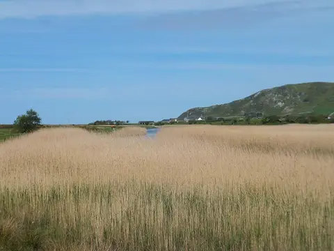 Woodlands Caravan Park