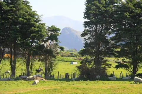 Woodlands Caravan Park
