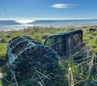 Coast & Castles Camp Site
