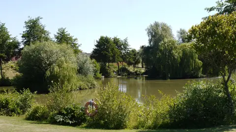 Homestead Lake