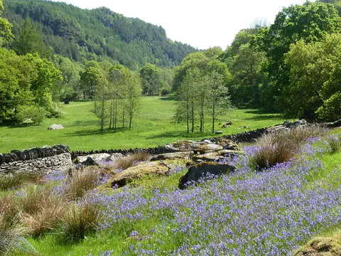 Tan-aeldroch - Camp Snowdonia