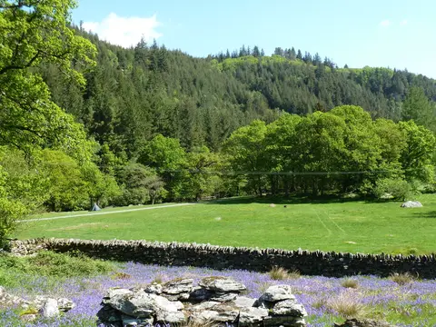 Tan-aeldroch - Camp Snowdonia