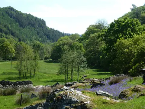 Tan-aeldroch - Camp Snowdonia