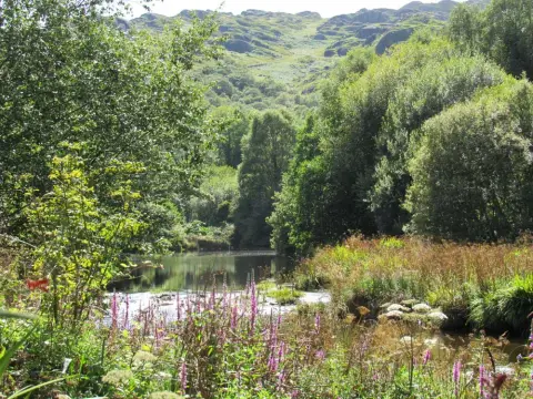 Glengarriff Caravan and Camping Park