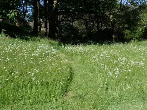 Seatoller Farm