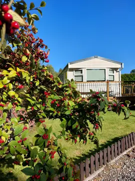 Twenty Shilling Wood Caravan Park