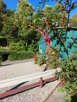 Twenty Shilling Wood Caravan Park