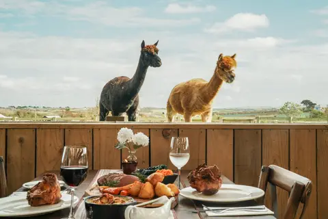 MacDonalds's Farm Touring & Camping