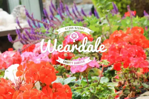 Betsdale Caravan Park