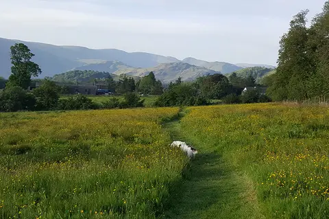 Cove Park
