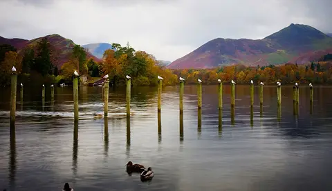 Cove Park