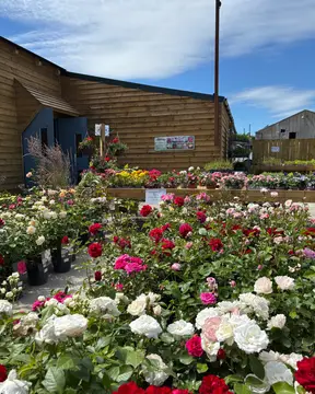 Thorpe Farm Centre Campsite