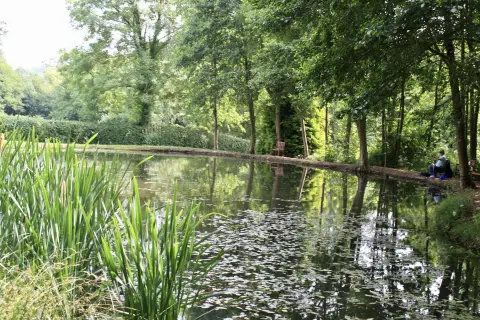 Maes Yr Afon Holiday Home Park