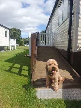 Westgate Caravan Park and Camping Site