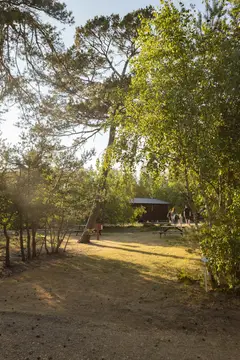 Møllers Dueodde Camping
