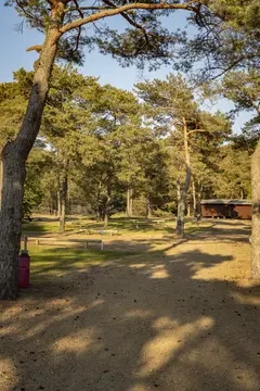 Møllers Dueodde Camping