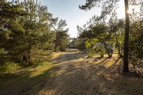 Møllers Dueodde Camping