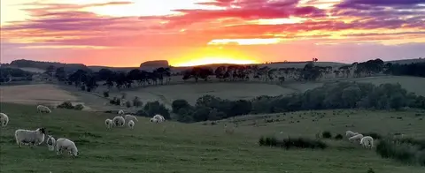 Barrasford Park Camping Site