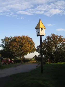 Orchard Park Tour. C. & C. P.
