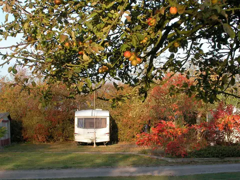 Orchard Park Tour. C. & C. P.