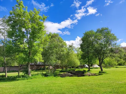 Fforest Fields