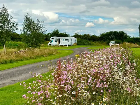 The Paddock