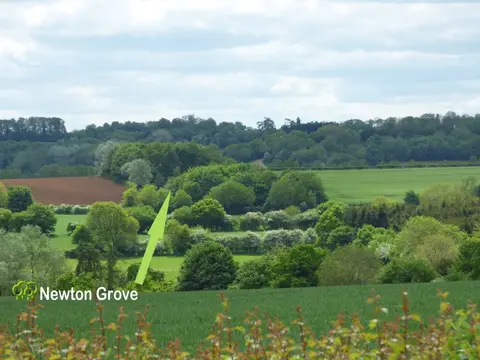 Newton Grove CL