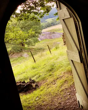 Grizedale Camp Site