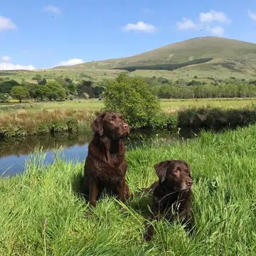 Snowdonia Parc Campsite