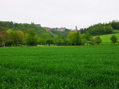 Tauber-Idyll