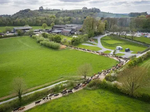 Sizergh Caravan & Camping