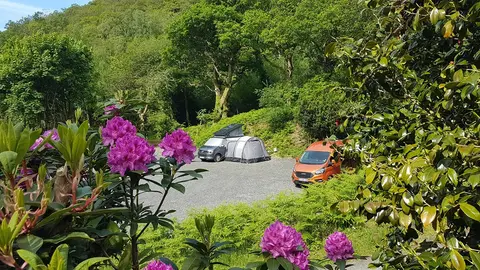 Nyth Robin Campsite