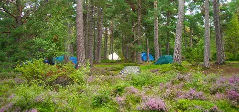 Rothiemurchus Camp and Caravan