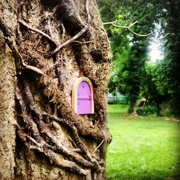 Moville Boutique Hostel Campground