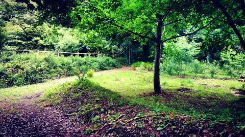 Moville Boutique Hostel Campground