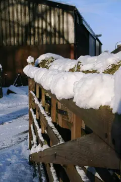 White Riggs Caravan Park