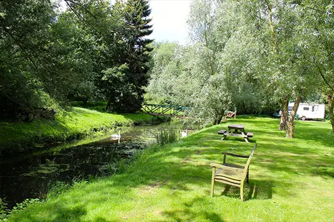 The Willows Campsite