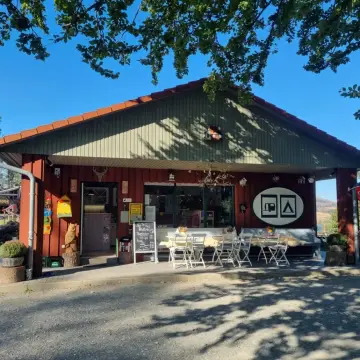 Harz Mountain Camp