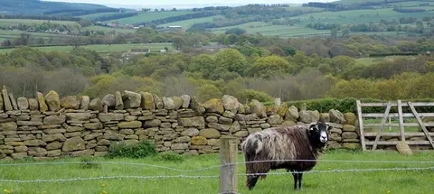 Hownsgill Caravan Park