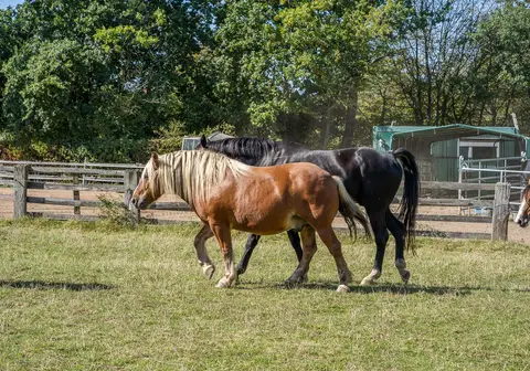 Ferienpark Buschhof
