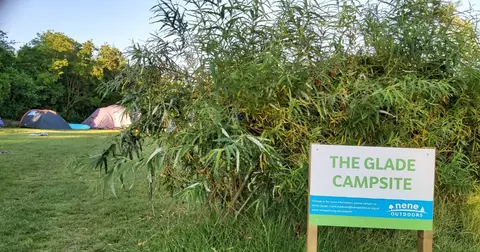 Lakeview Campsite