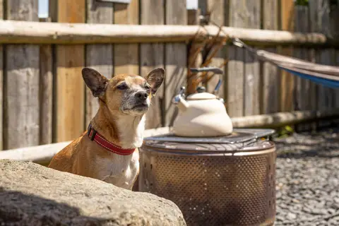 Tregroes Caravan, Camping & Glamping Park