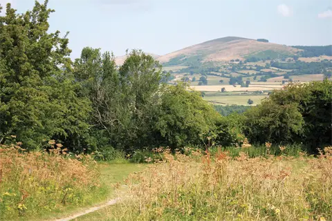 Foxholes Camp Site