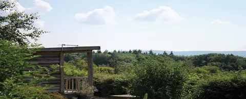 Foxholes Camp Site
