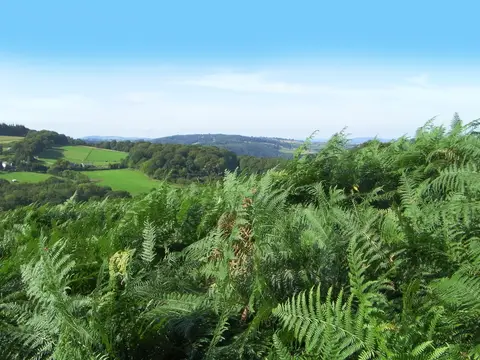 Broadstone Park Camping and Fishery