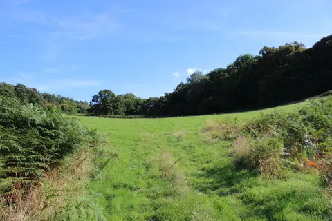Broadstone Park Camping and Fishery
