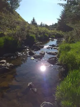 Glangwy Farm Camping