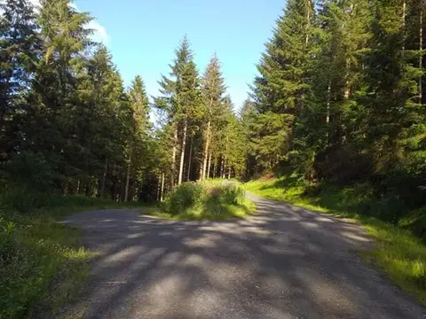 Glangwy Farm Camping