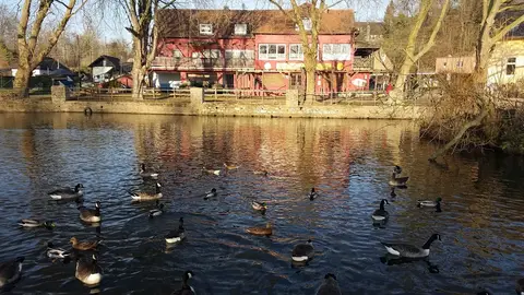 Wasserfreunde Ruhrmühle